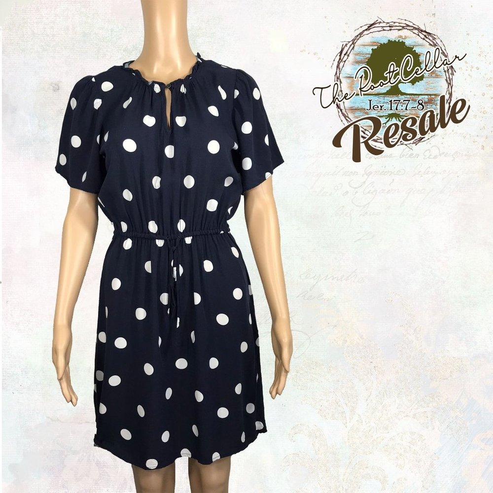 Ann Taylor Loft Size Small Dress
